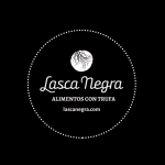 Cata de Seelen Artesana y Cervezas Zica en La Lasca Negra (Zaragoza)