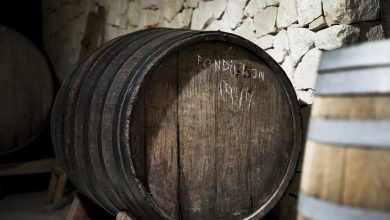 bodega de vista lateral con barriles de vino viejos