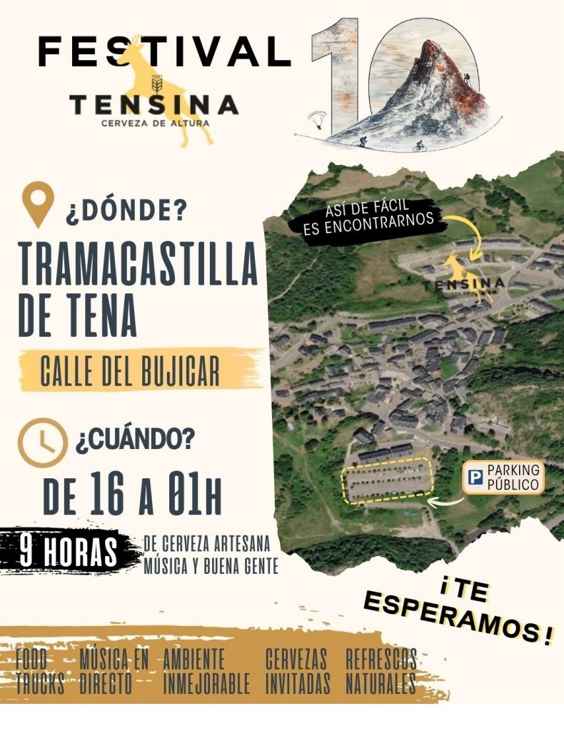 Festival 10º Aniversario Tensina