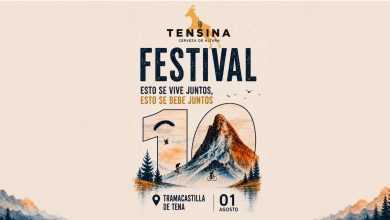 Festival 10 Aniversario Tensina Portada